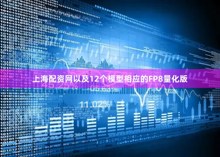 上海配资网以及12个模型相应的FP8量化版