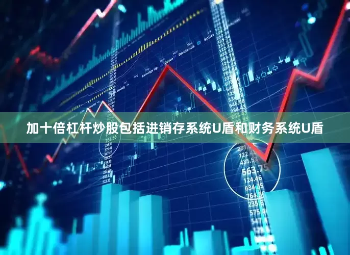 加十倍杠杆炒股包括进销存系统U盾和财务系统U盾