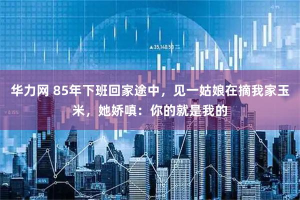 华力网 85年下班回家途中,见一姑娘在摘我家玉米,她娇嗔:你的就是我的