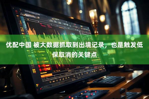 优配中国 被大数据抓取到出境记录，也是触发低保取消的关键点